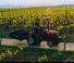 Трактори 4WD (задвиждане на четирите колела) Massey Ferguson MF 1520 