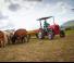 Трактори 4WD (задвиждане на четирите колела) Massey Ferguson MF 35