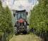 Трактори 4WD (задвиждане на четирите колела) Massey Ferguson MF 3FR.85 