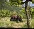 Трактори 4WD (задвиждане на четирите колела) Massey Ferguson MF 3GE.105 