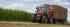 Трактори 4WD (задвиждане на четирите колела) Massey Ferguson MF 6616 Dyna 6