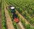 Трактори 4WD (задвиждане на четирите колела) Claas Nexos 2.85 Comfort M 
