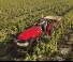 Трактори 4WD (задвиждане на четирите колела) Case IH Quantum 80 CL