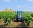 Трактори 4WD (задвиждане на четирите колела) Landini Rex 120F