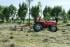 Трактори 4WD (задвиждане на четирите колела) SAME Tiger 75
