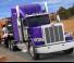 Камиони Влекачи Peterbilt 389 44” Low Roof PACCAR MX-13