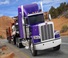 Камиони Влекачи Peterbilt 389 58” Low Roof PACCAR MX-13