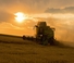 Зърнокомбайн Fendt 5255 L-MCS 