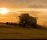 Зърнокомбайн Fendt 6275 L MCS Rice