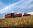 Зърнокомбайн Massey Ferguson Activa 7342