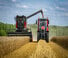 Зърнокомбайн Massey Ferguson Activa 7343