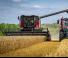 Зърнокомбайн Massey Ferguson Activa 7344-MCS