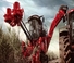 Зърнокомбайн Case IH Austoft 9900