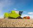 Зърнокомбайн Claas Avero 160