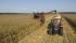 Зърнокомбайн Case IH Axial Flow 7088