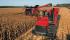 Зърнокомбайн Case IH Axial Flow 8120