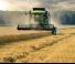 Зърнокомбайн DEUTZ-FAHR C 6205 TS Topline