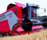 Massey Ferguson Cereon 7278