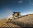Зърнокомбайн New Holland CR8.90 Tracks