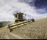 Зърнокомбайн New Holland CX5.90 Laterale 