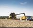 Зърнокомбайн New Holland CX6.80