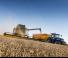 Зърнокомбайн New Holland CX8.85 Elevation