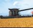 Fendt Ideal 10