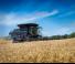 Зърнокомбайн Massey Ferguson Ideal 9 T