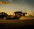 Зърнокомбайн Massey Ferguson Ideal 9 T