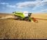 Зърнокомбайн Claas Lexion 750 Montana