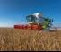 Зърнокомбайн Claas Lexion 750 Montana