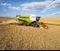 Зърнокомбайн Claas Lexion 780 TerraTrac