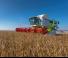 Зърнокомбайн Claas Lexion 780 TerraTrac