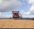 Massey Ferguson MF 9795