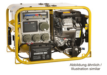 Бензинови генератори Endress ESE 954 DBG DIN