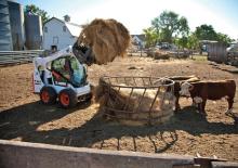 Челни товарачи Bobcat S590