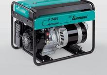 Бензинови генератори Eisemann P 7401 E