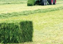 Големи квадратни преси + преси с висока плътност Krone Big Pack 1270 XC