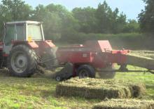 Големи квадратни преси + преси с висока плътност Massey Ferguson MF 1839
