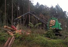 Колесни харвестъри Neuson Forest 183HVT