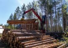 Кранове за товарене на дървен материал Loglift 18S OUT95