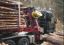 Кранове за товарене на дървен материал Loglift F 265Z-DT