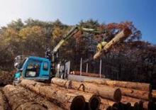 Кранове за товарене на дървен материал Loglift 61Z 71 