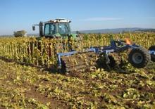 Ливадни и полеви валяци DAL-BO MaxiCut 150