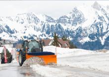 Многоостри снегорини Schmidt Tarron MS 32.1