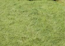 Трактори 4WD (задвиждане на четирите колела) DEUTZ-FAHR Agroplus 410 GS DT