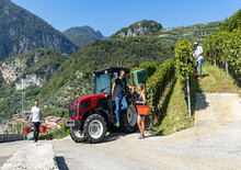 Трактори 4WD (задвиждане на четирите колела) Valtra F75S