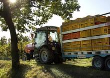 Трактори 4WD (задвиждане на четирите колела) SAME Frutteto³ S 90.3 DT