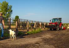 Трактори 4WD (задвиждане на четирите колела) Massey Ferguson MF 1755 M MC 