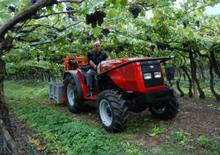Трактори 4WD (задвиждане на четирите колела) Massey Ferguson MF 3435-4 F